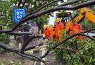 Five people died as Cyclone Arnab brought powerful winds, heavy rain and widespread disruption to Andhra Pradesh.