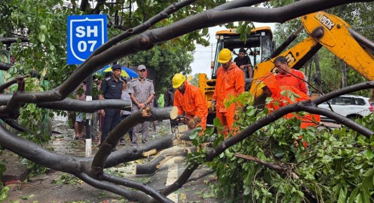 Five people died as Cyclone Arnab brought powerful winds, heavy rain and widespread disruption to Andhra Pradesh.